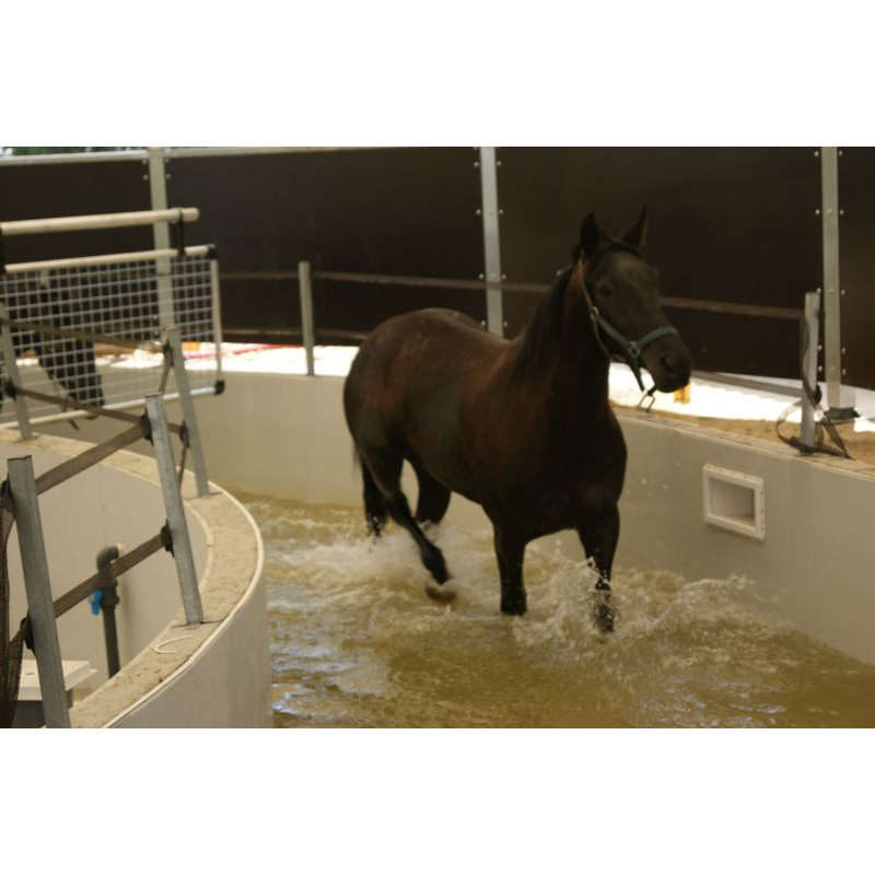 Marcheur couvert - Aquatique