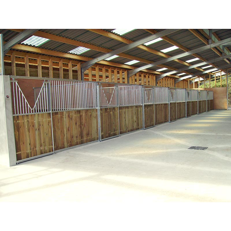 Barns - Toit translucide - Bois panneaux