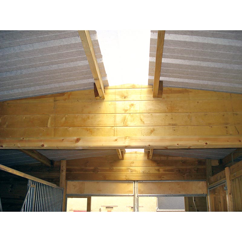 Barns - Toit translucide - Bois panneaux