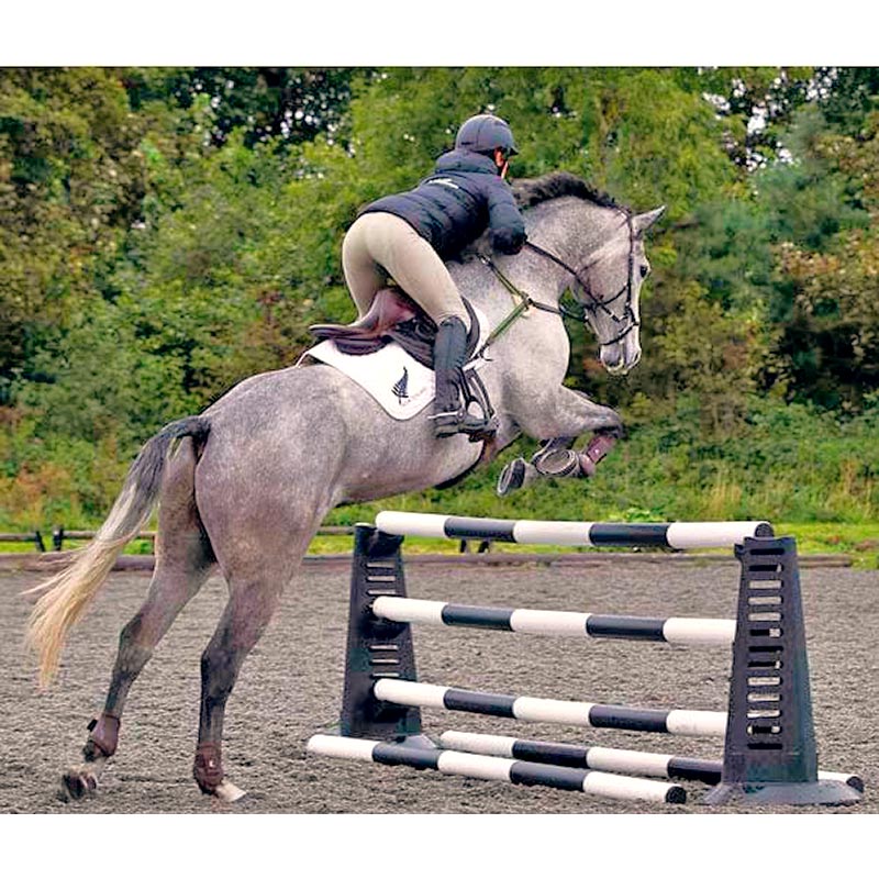 Pro-Jump Maxi - 95 cm