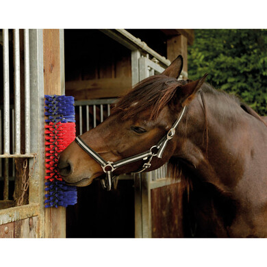 Brosse murale pour chevaux