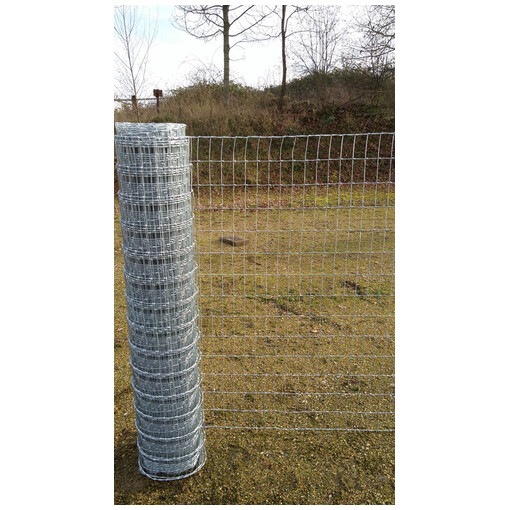 Grillage pour chevaux d'élevage