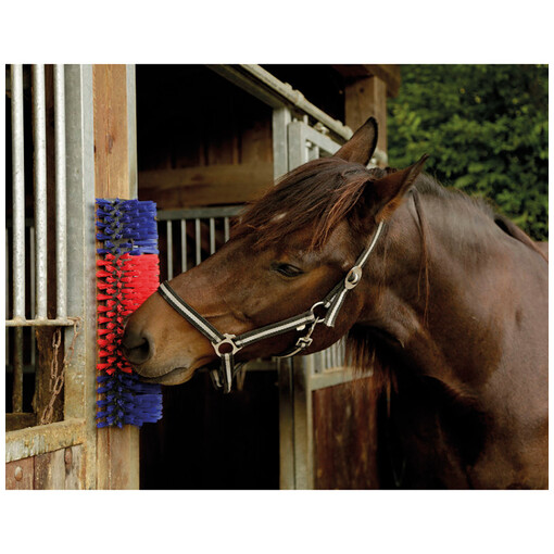 Brosse murale pour chevaux