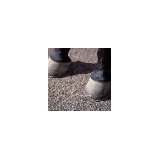Dalles stabilisatrices 50 cm x 50 cm