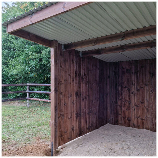 Abri pour chevaux en madrier, vue de l'intérieur, avec une barrière à 3 lisses en arrière-plan.