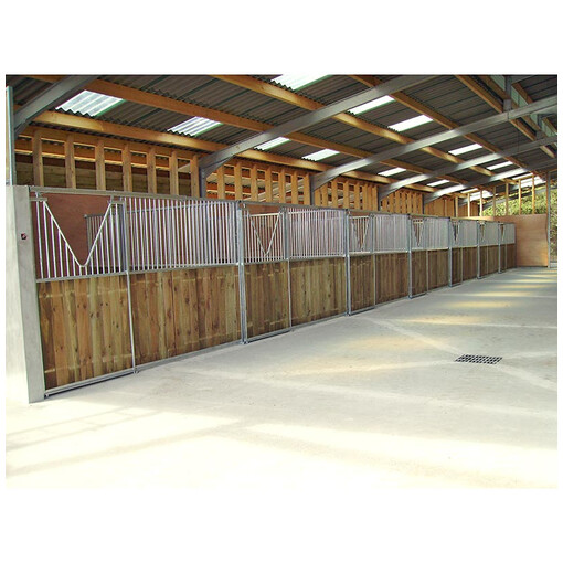 Barns - Toit translucide - Bois panneaux