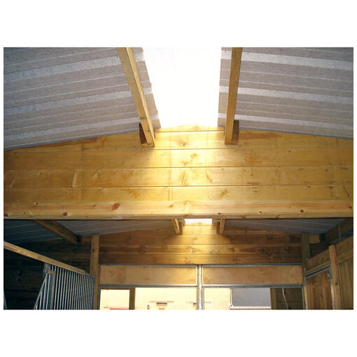 Barns - Toit translucide - Bois panneaux