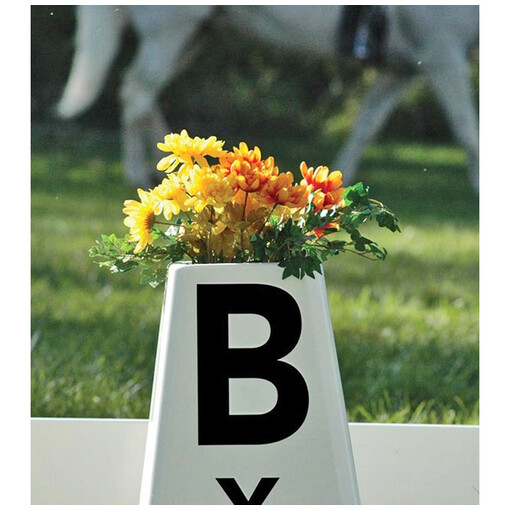 Plots de dressage - Lettres adhésives