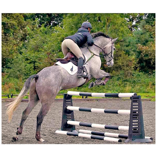 Pro-Jump Maxi - 95 cm