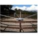 Marcheur - Lisses bois