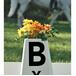 Plots de dressage - Lettres adhésives