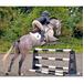 Pro-Jump Maxi - 95 cm